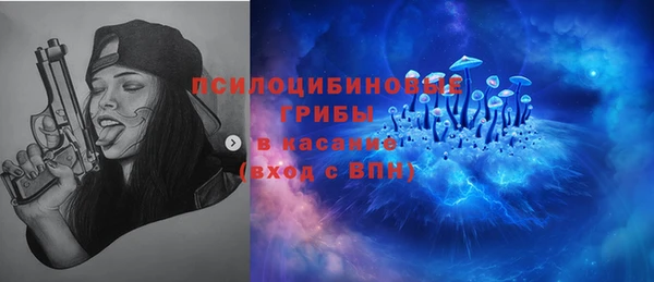 амф Касимов
