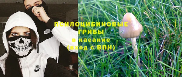 твердый Карпинск