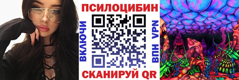 Купить закладки  Советский  Галлюциногенные грибы Psilocybine cubensis 